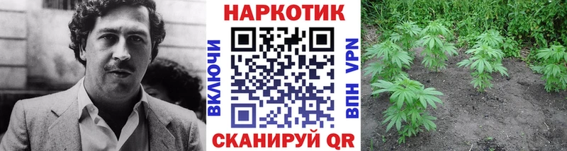 Наркошоп купить СОЛЬ  Героин  Амфетамин  Галлюциногенные грибы  ГАШ  Cocaine  Меф мяу мяу  Канабис  Белозерск