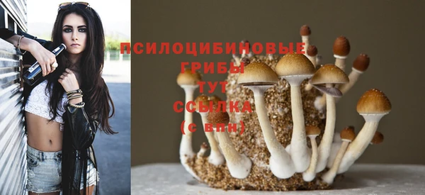 эйфоретик Бугульма