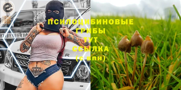 скорость Бронницы