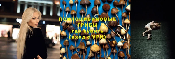 скорость Бронницы