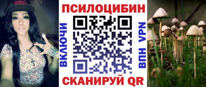 Псилоцибиновые грибы мицелий  Купить где  Белозерск 